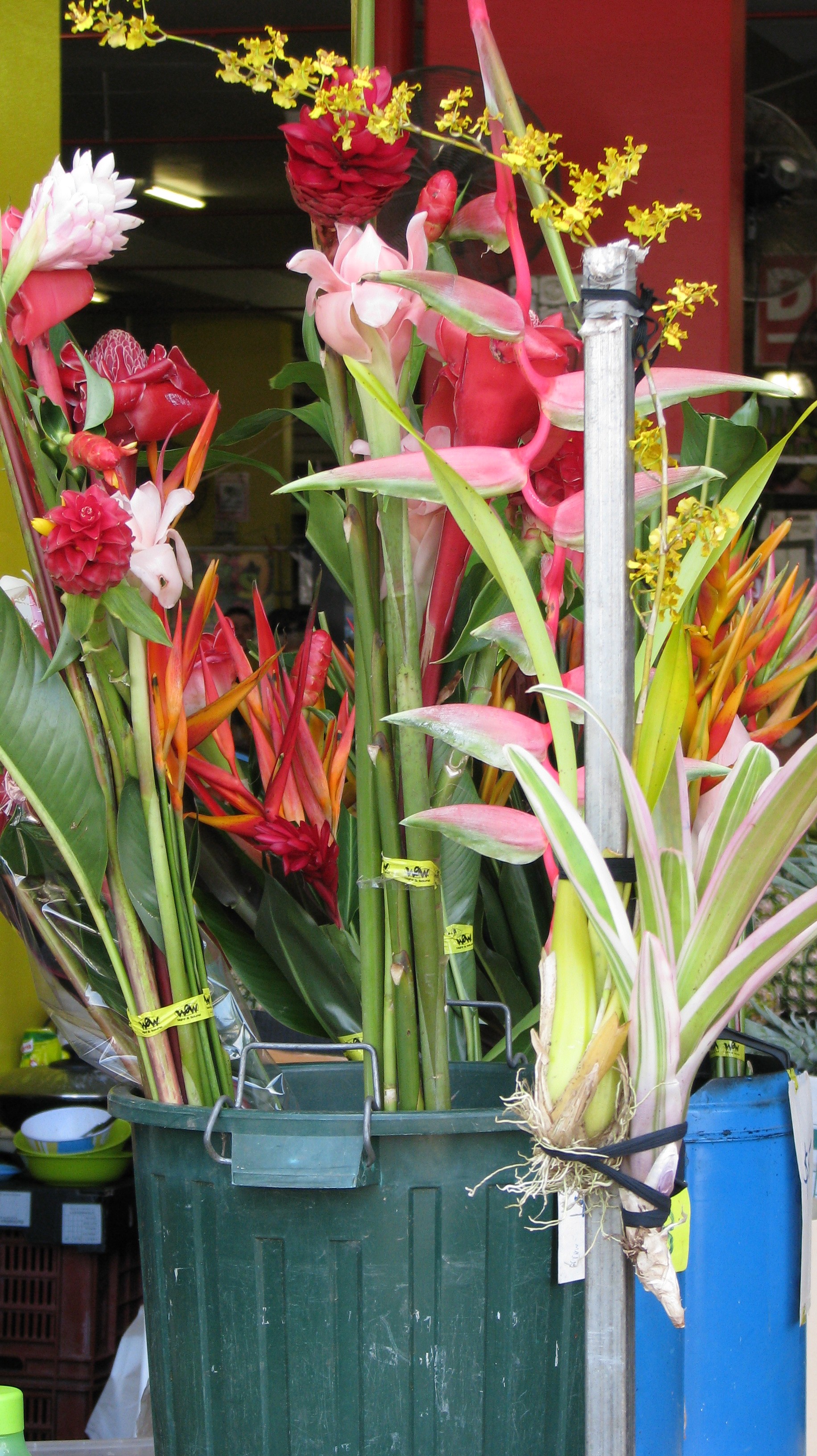 Flowers at Rusty's Market