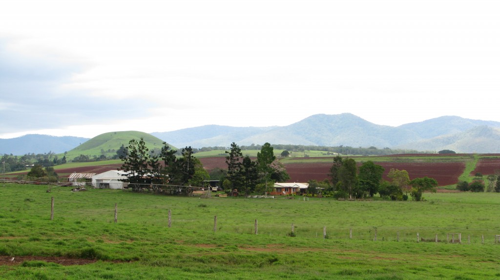 Farmland on the Atherton Tablelands