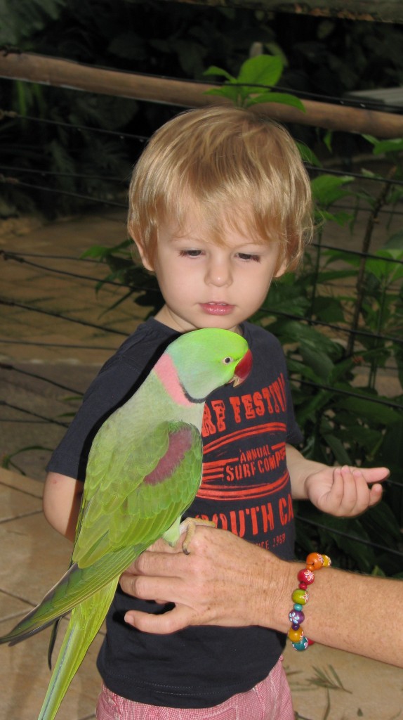 Bub 2 at Birdworld in Kuranda