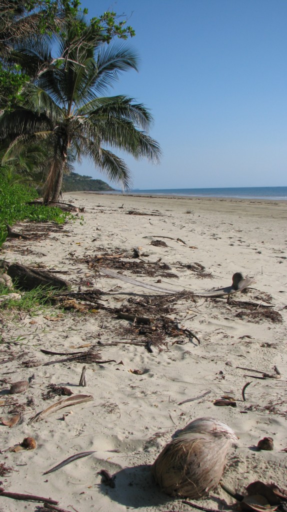 Four Mile Beach