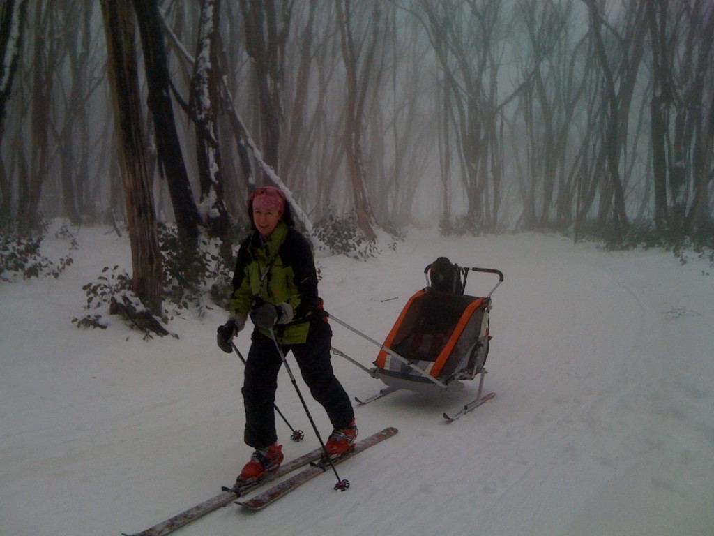 Our bike trailer coverts to a pulk. As a catch-all, we just call it the dragon wagon