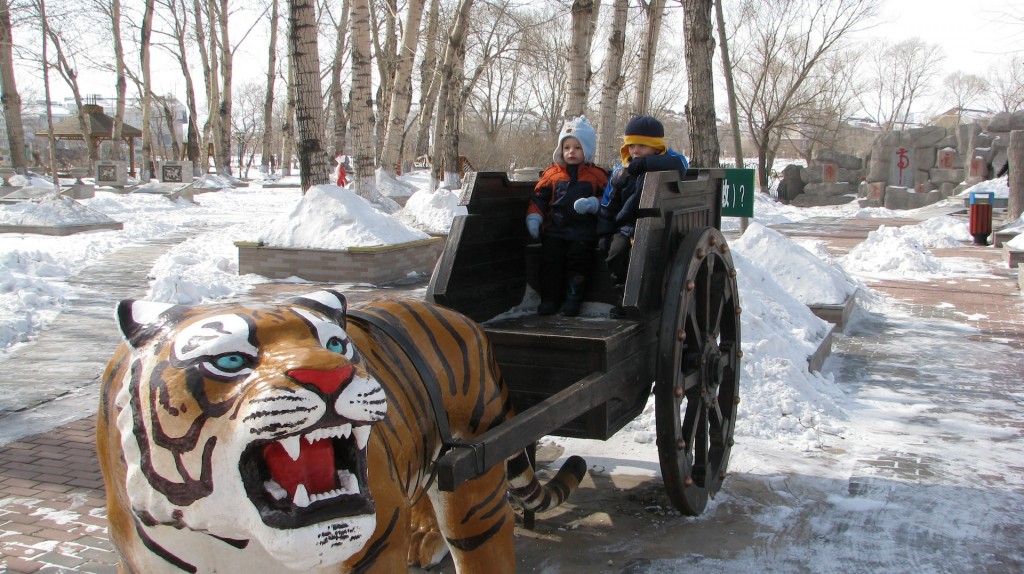 I understand why the tiger cubs didn't want to come out in winter - it was freezing!