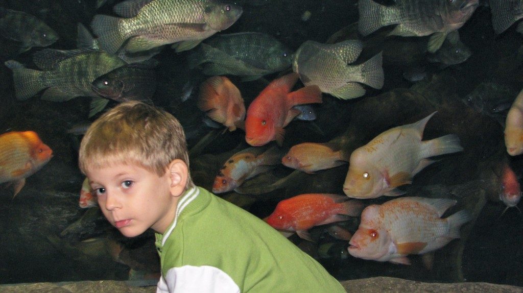 With koi at Shanghai Chang Feng Aquarium