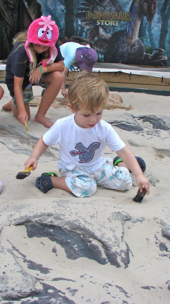 Digging for fossils at Sea World