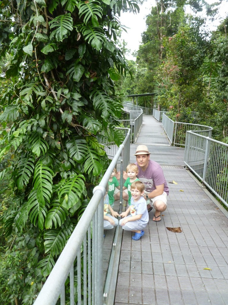 North Queensland's Mamu Mamu rainforest canopy walk