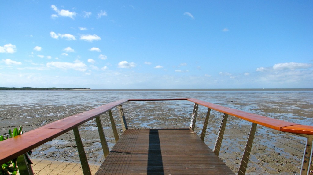 View from the Cairns Esplanade at low tide.