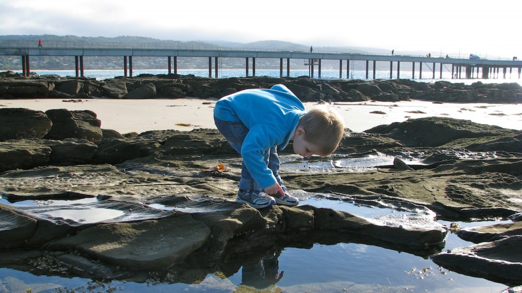 Exploring the rock pools at Lorne