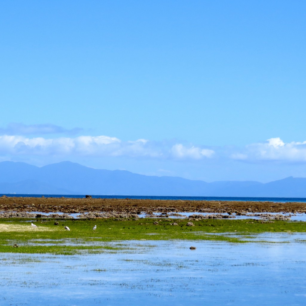 King low tide - Green Island