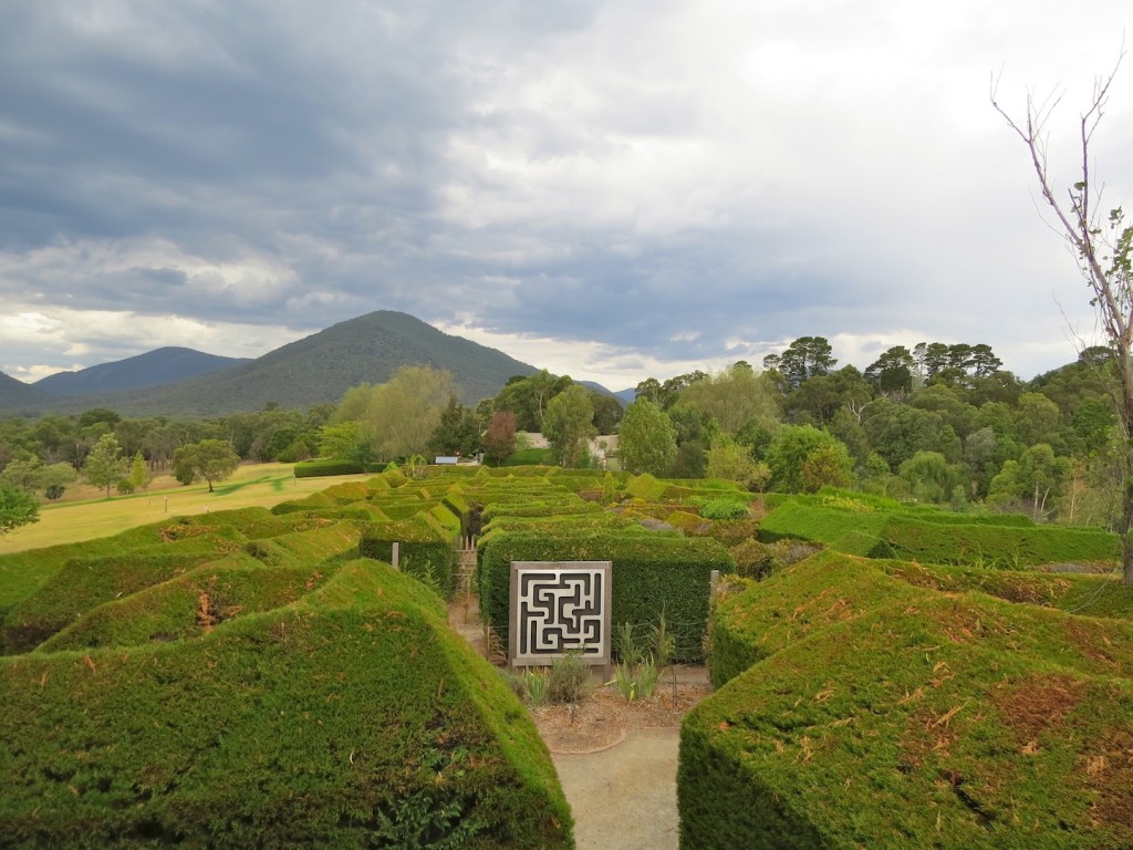 Hedgend Maze Healesville