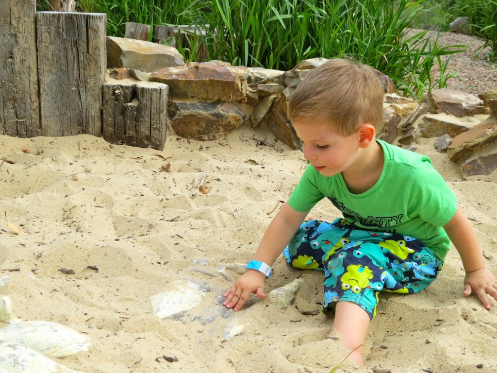 A fossil dig at Hedgend Maze