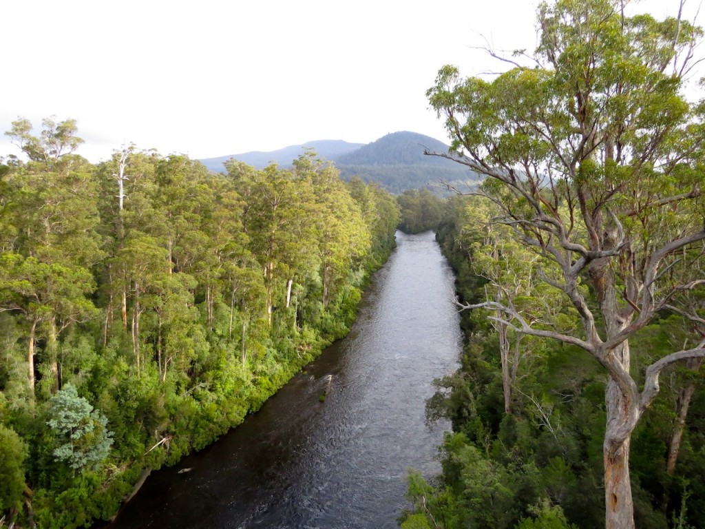 The Picton River