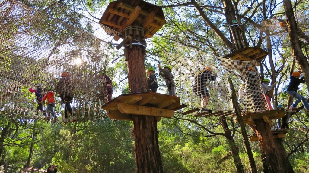 Tree Surfing Nippers Course at the Enchanted Adventure Garden