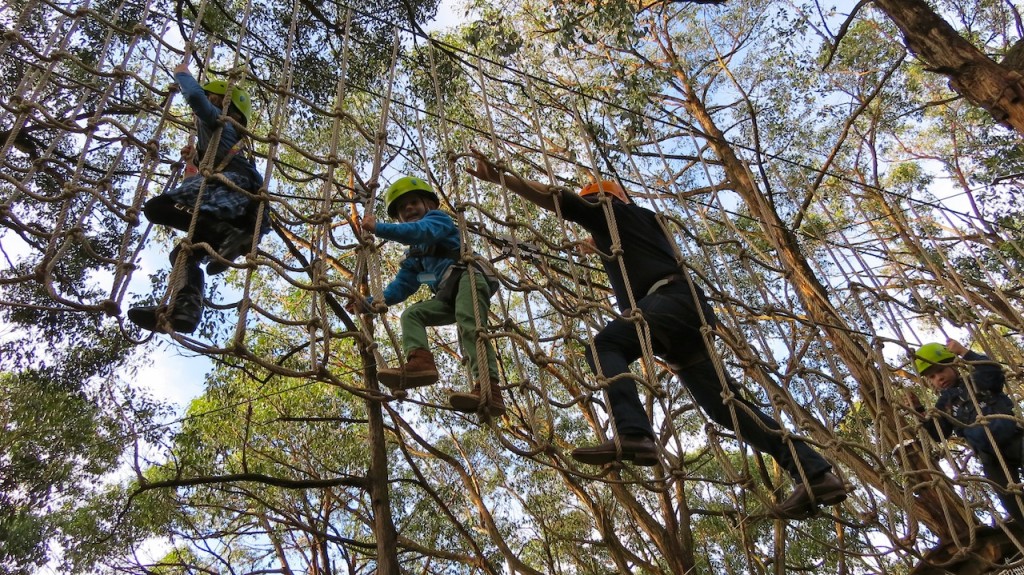 Tree Surfing Nippers Course at the Enchanted Adventure Garden