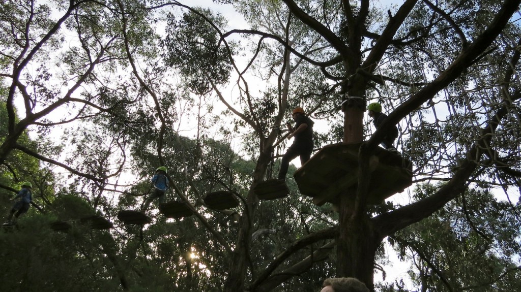 Tree Surfing Nippers Course at the Enchanted Adventure Garden