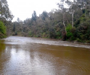 The Yarra River in Warrandyte - the scene of my crime.
