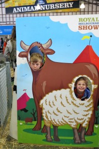 This year is the 50th anniversary of the Animal Nursery at the Royal Melbourne Show