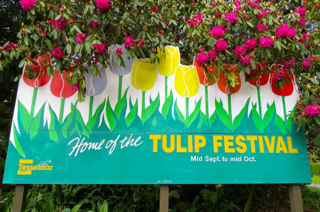 Tesselaar Tulip Festival