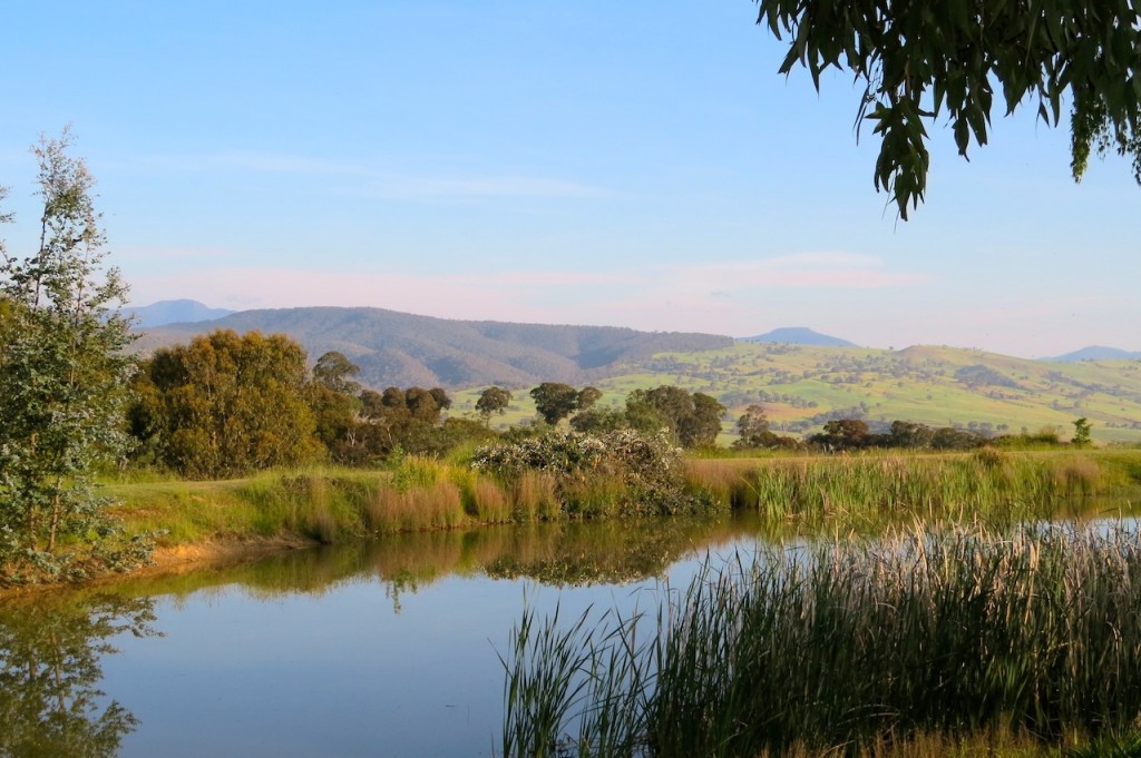 The high country Wombat Cottages