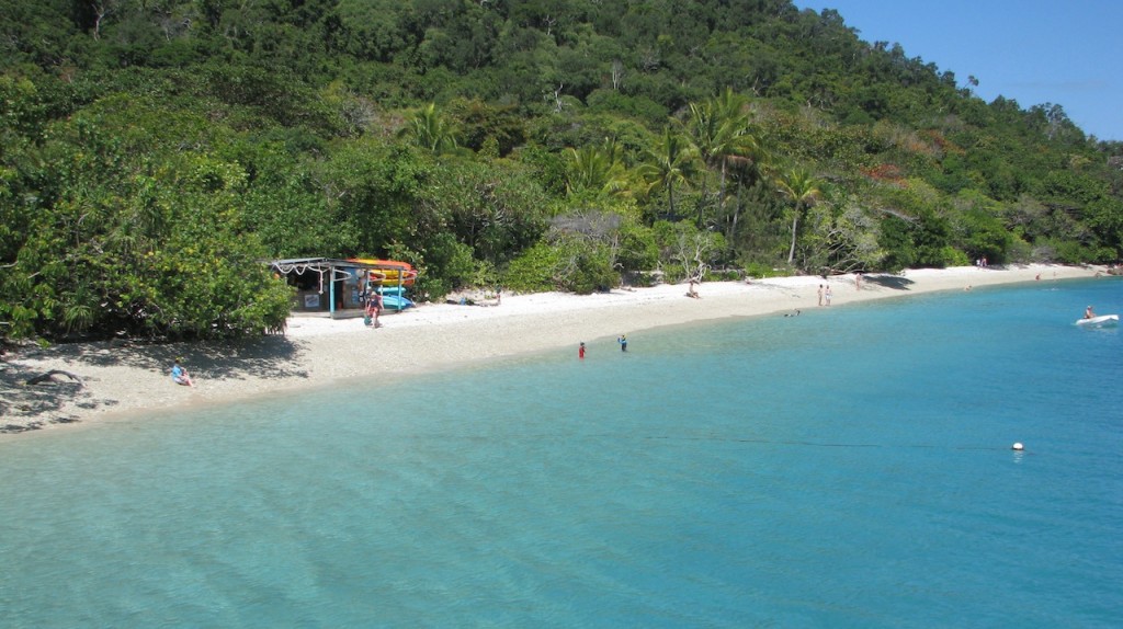 Fitzroy Island