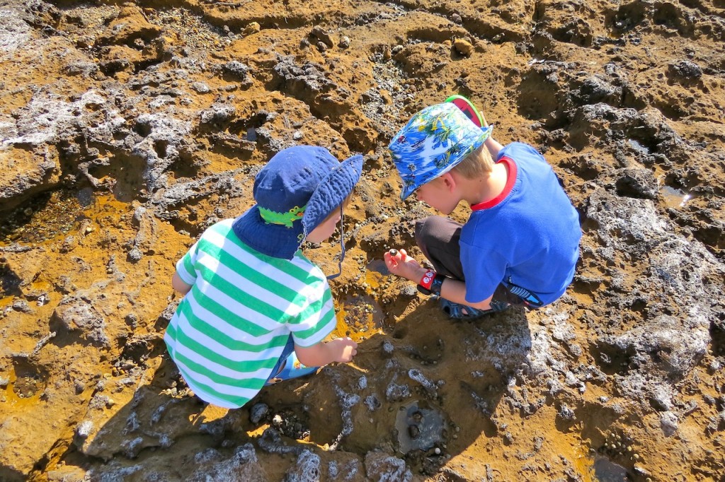 Exploring the rock pools Rickett's Point Marine Sanctuary