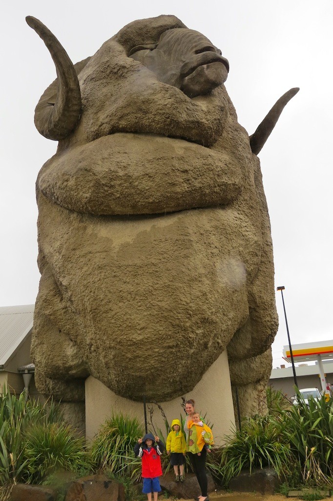 Goulburn's Giant Merino