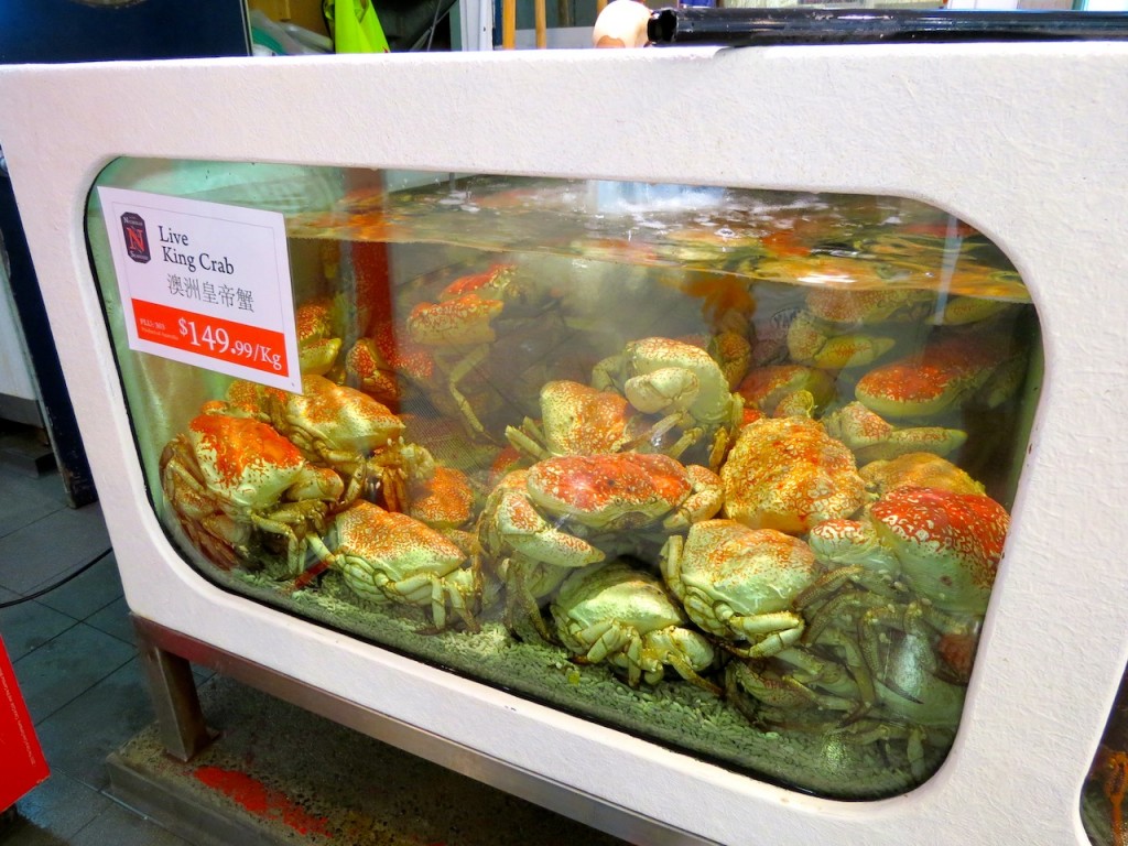 The Sydney Fish Markets