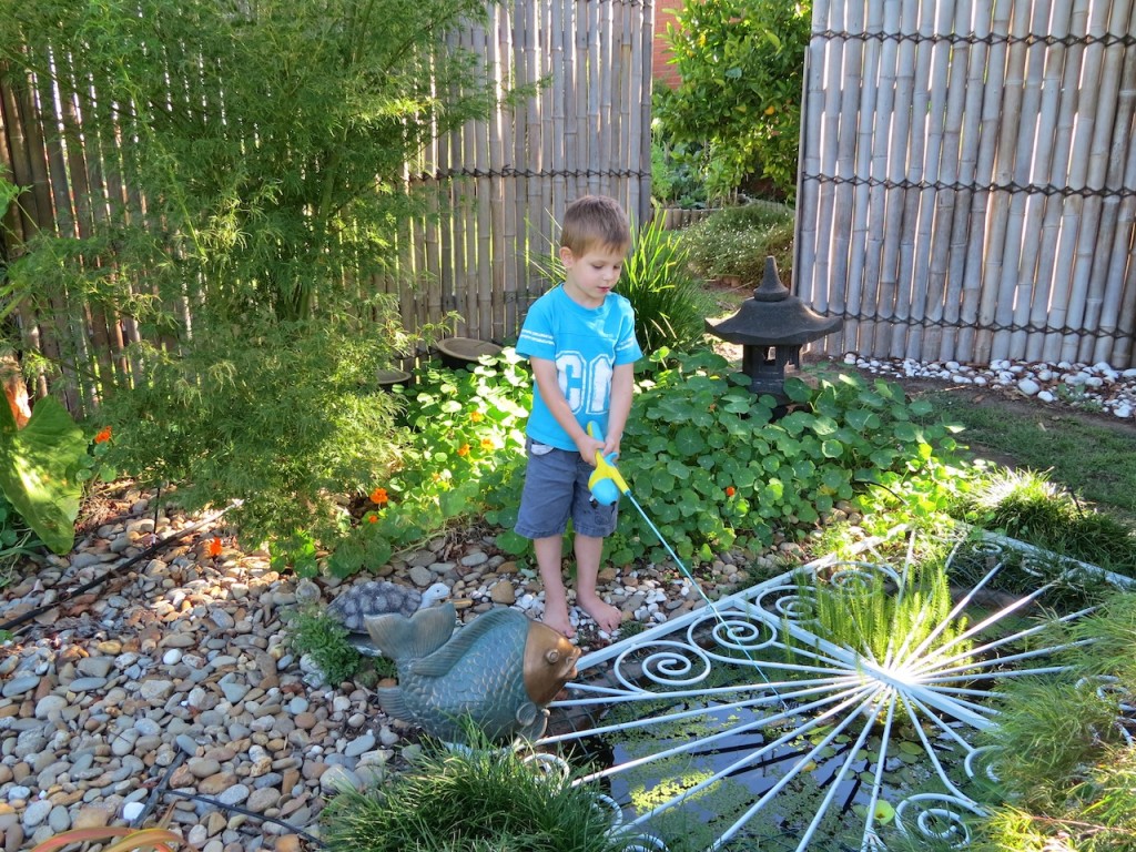 Bub 2 fishing in his Papa's garden