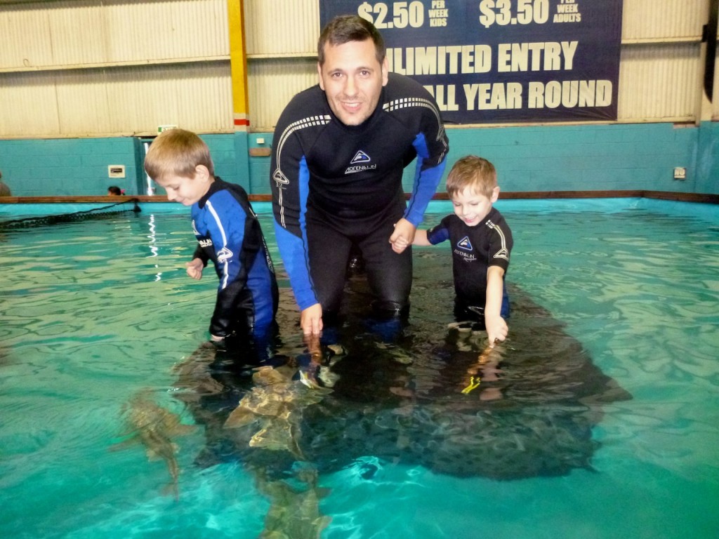 The Australian Shark and Ray Centre