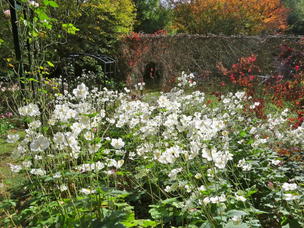 The Gardens of Tieve Tara