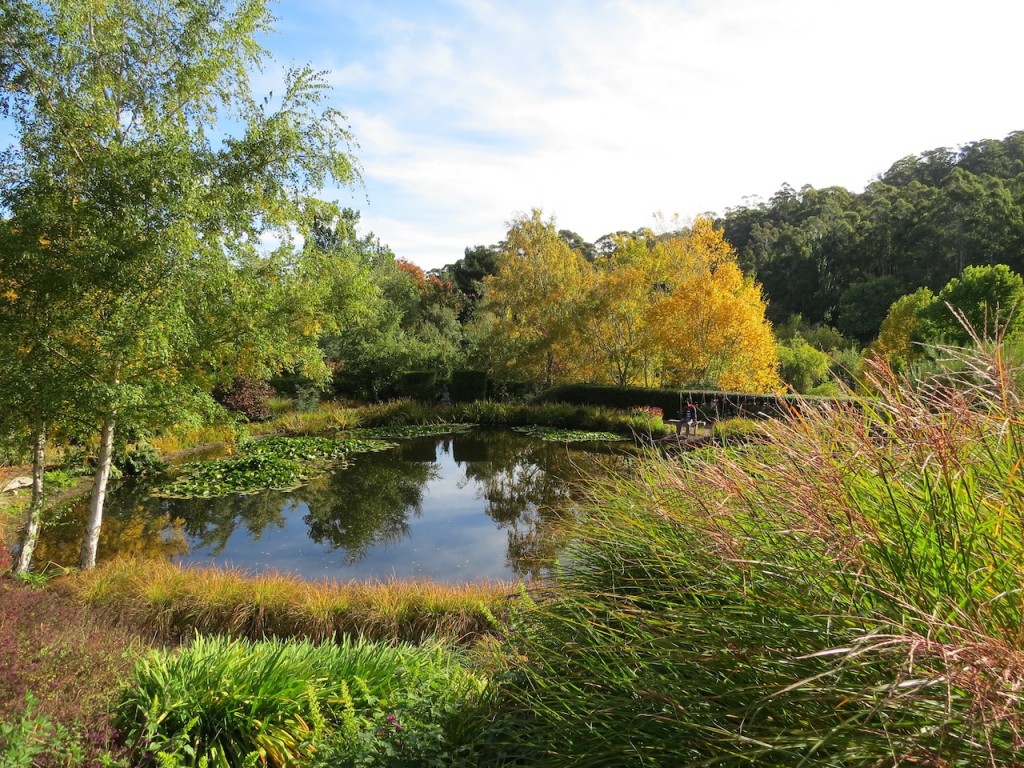 The Gardens of Tieve Tara