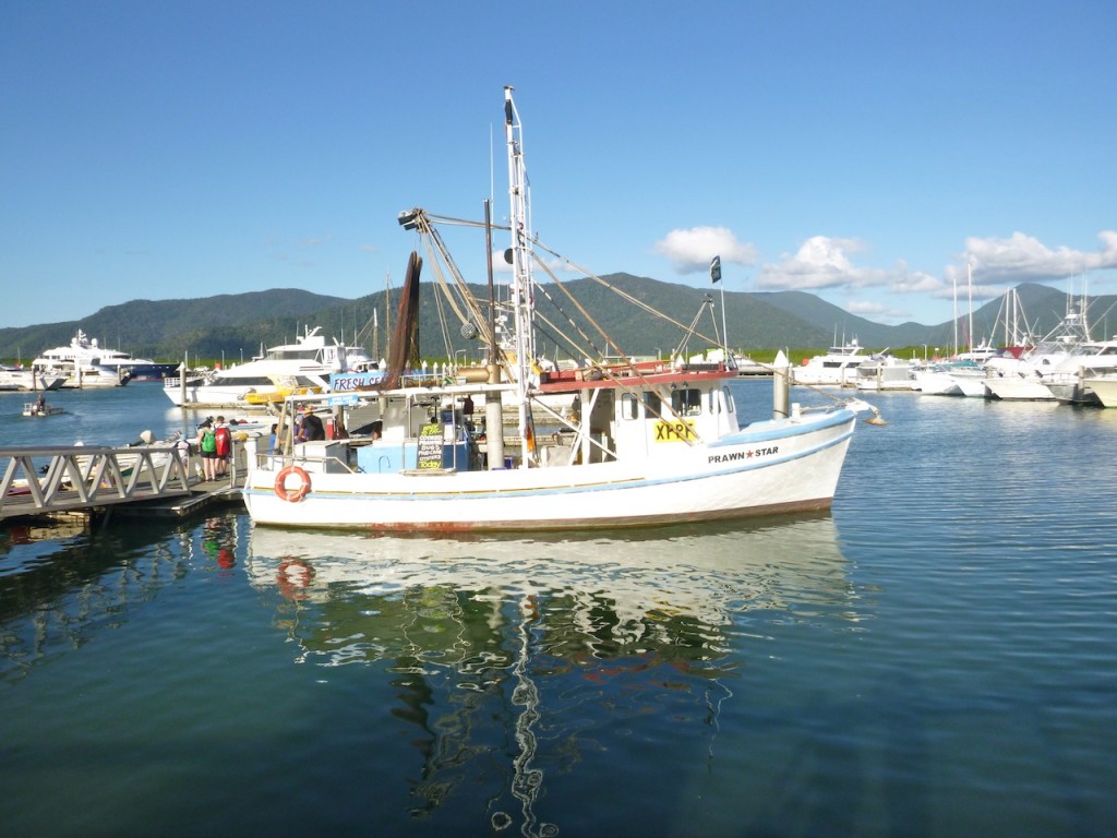 Fresh seafood straight off the boat in the Cairns Wharf Precinct