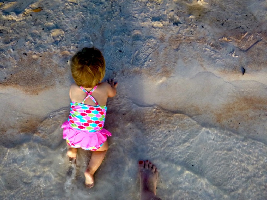 Playing in the shallows of Cairns Lagoon