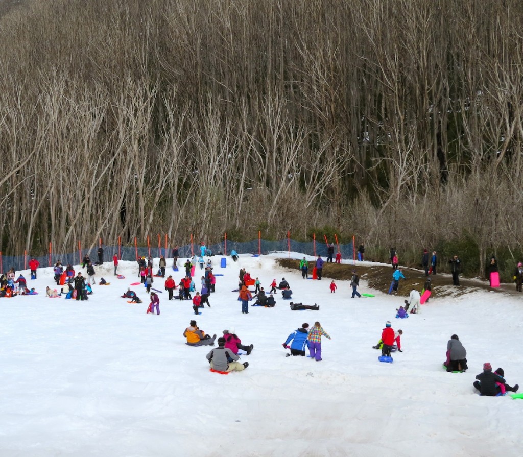 One of the toboggan runs at Lake Mountain