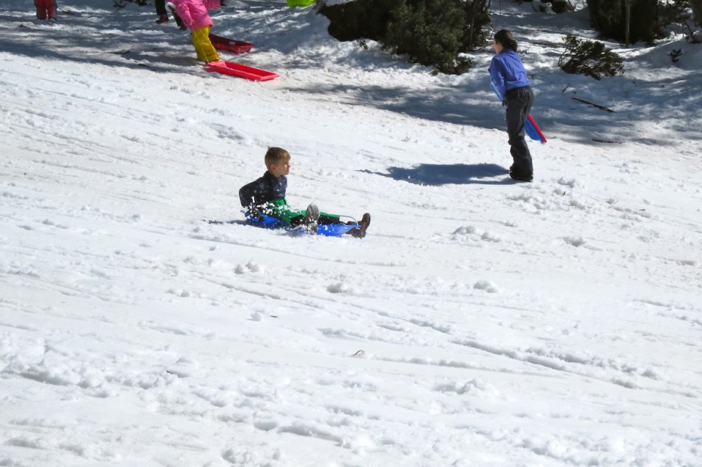 Tobogganing at Mt Baw Baw Alpine Resort