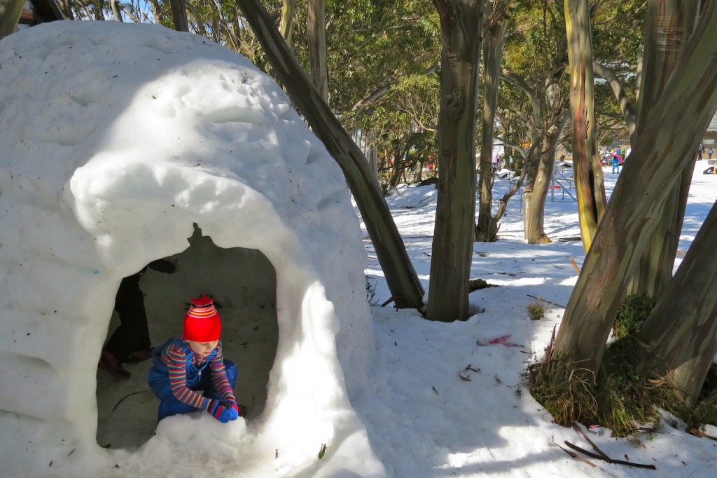 Be can't take credit for creating this igloo but it was a great snow cubby for the kids to play in 
