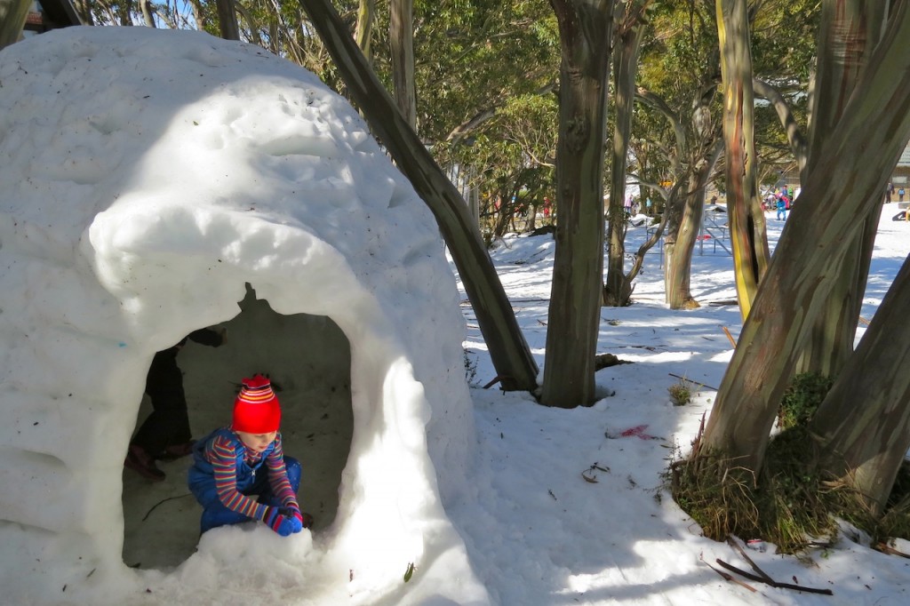 Igloo Mount Baw Baw