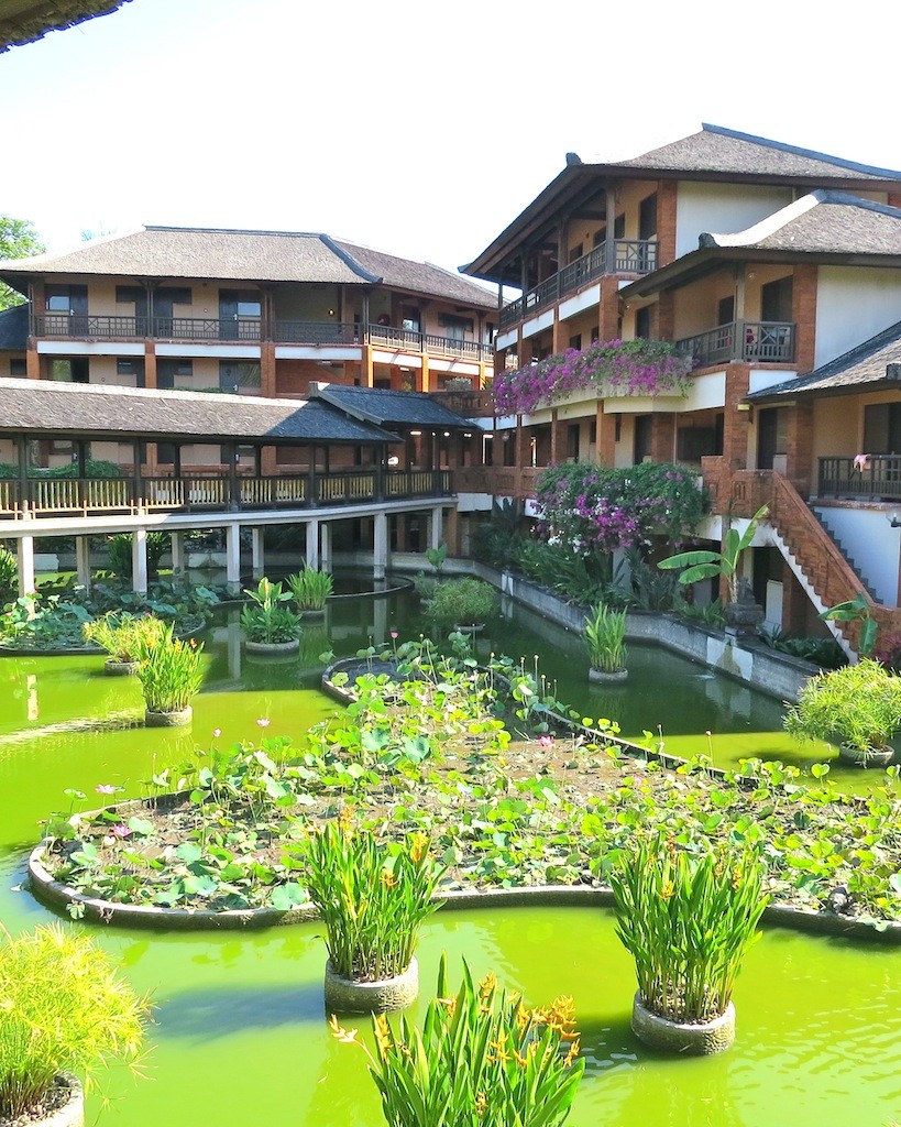 Water gardens at Club Med Bali. There were water monitors and water birds to spy here.