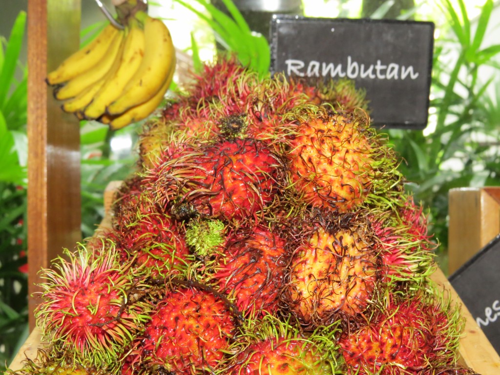 The tropical fruit at breakfast was divine.