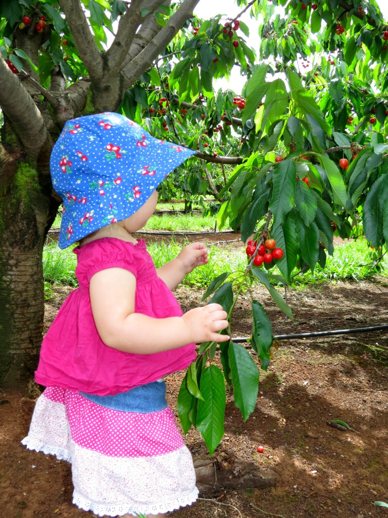 A broad brimmed hat helps to protect my toddler's neck and face.