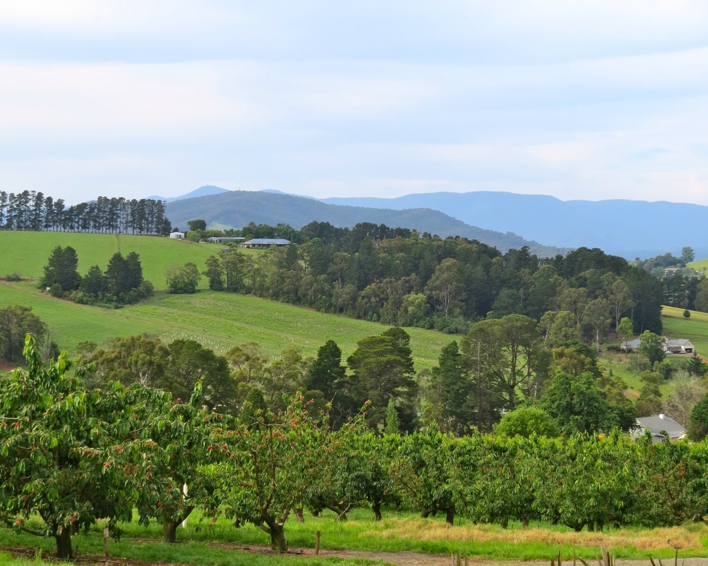 Cherryhill Orchards in the stunning Yarra Valley