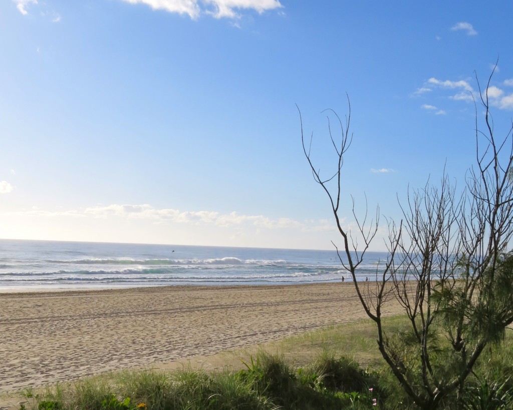 Surfers Paradise is hub of excitement but the beaches are the star for me.