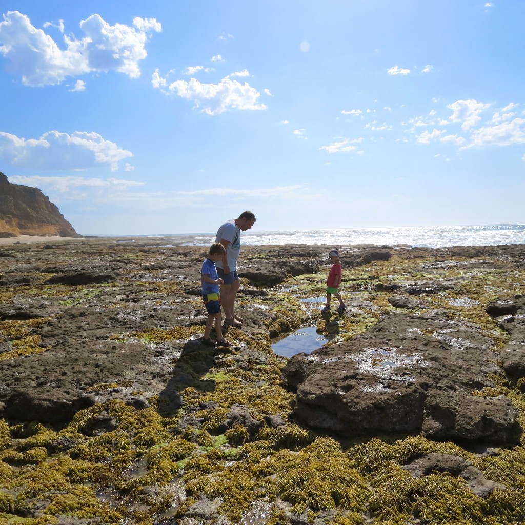 Rockpool rambles at the Eagle Rock Marine Sanctuary