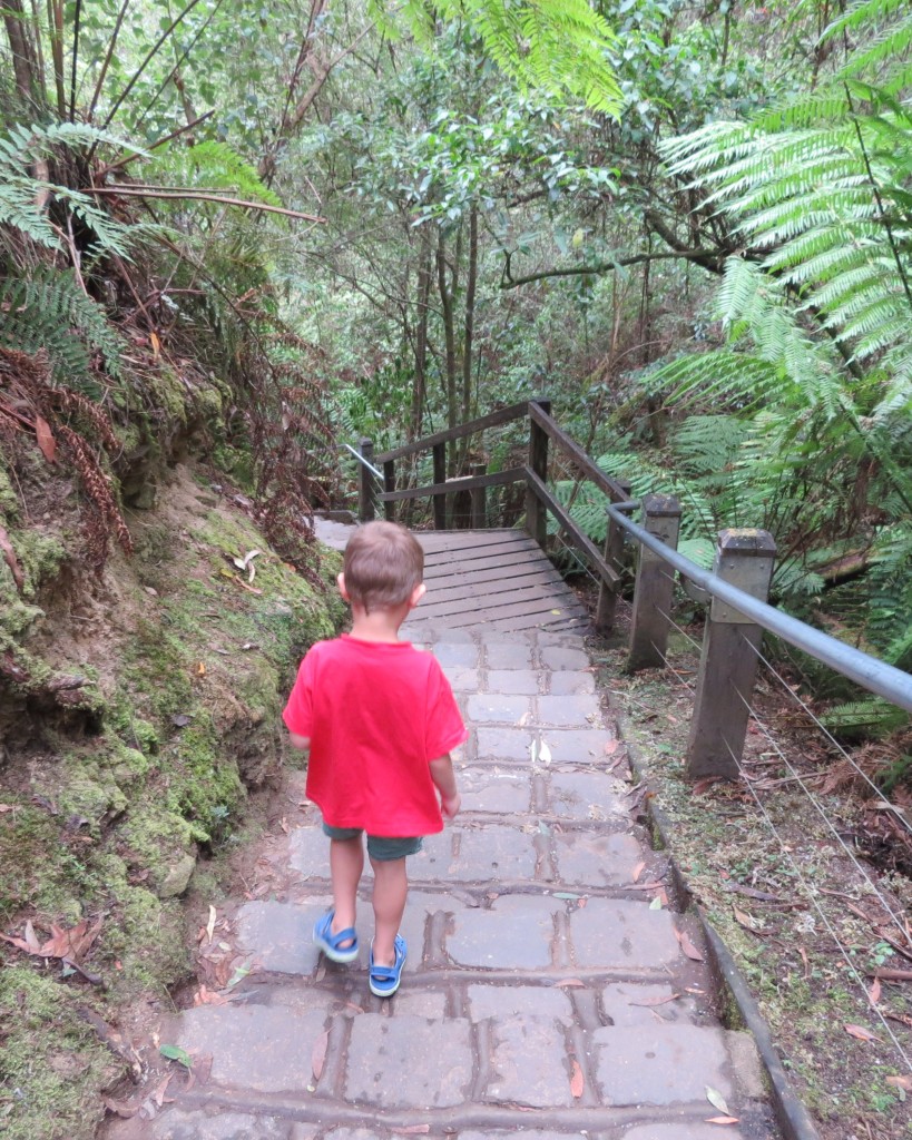 Walking to Erskine Falls near Lorne