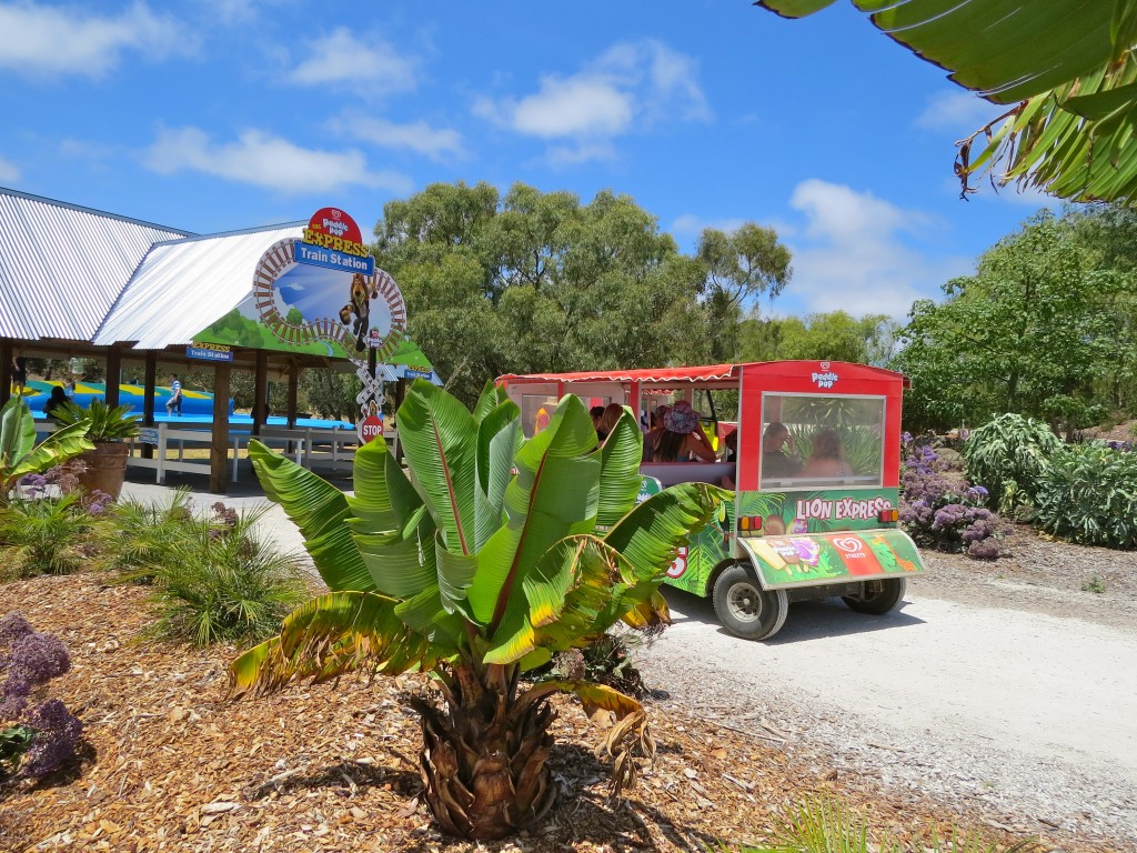 The kids train at Adventure Park Geelong