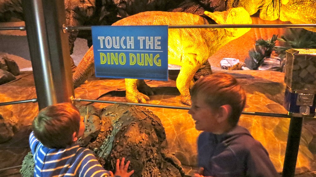 Hands on with the dino dung