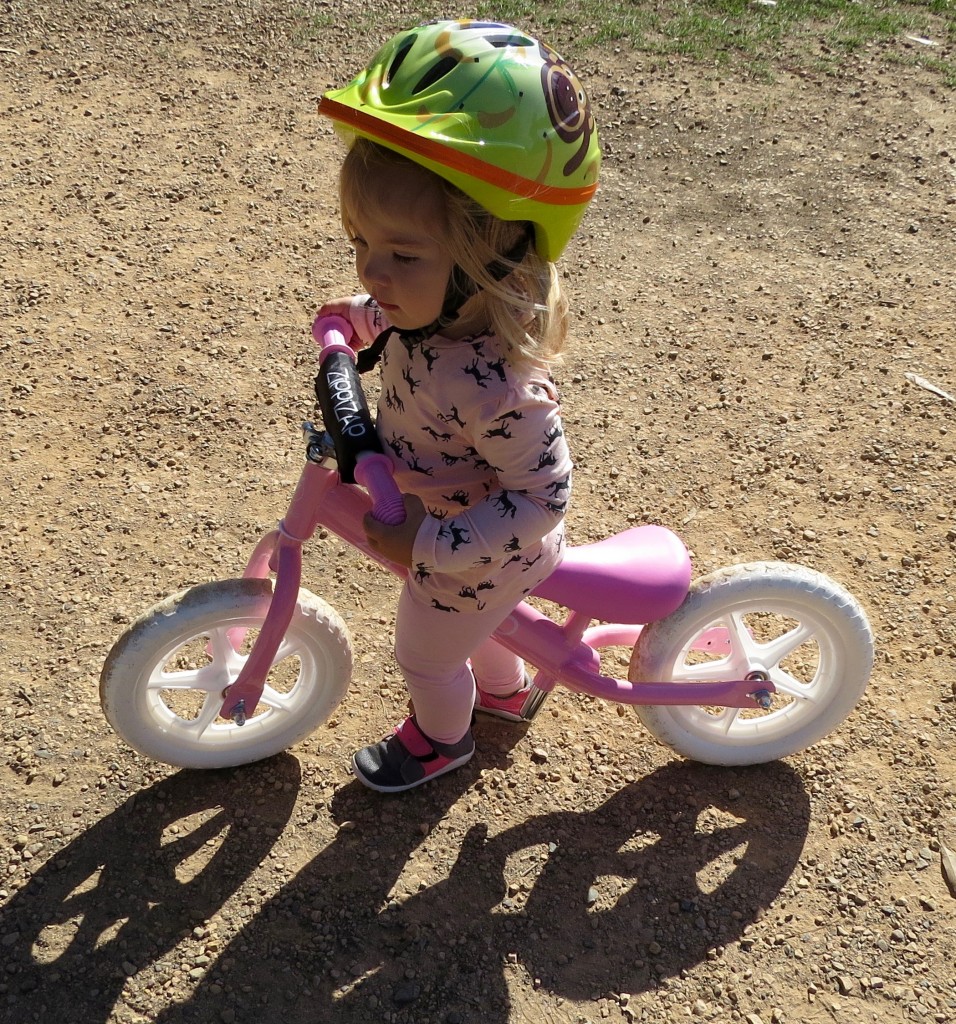 ZIppizap balance bike