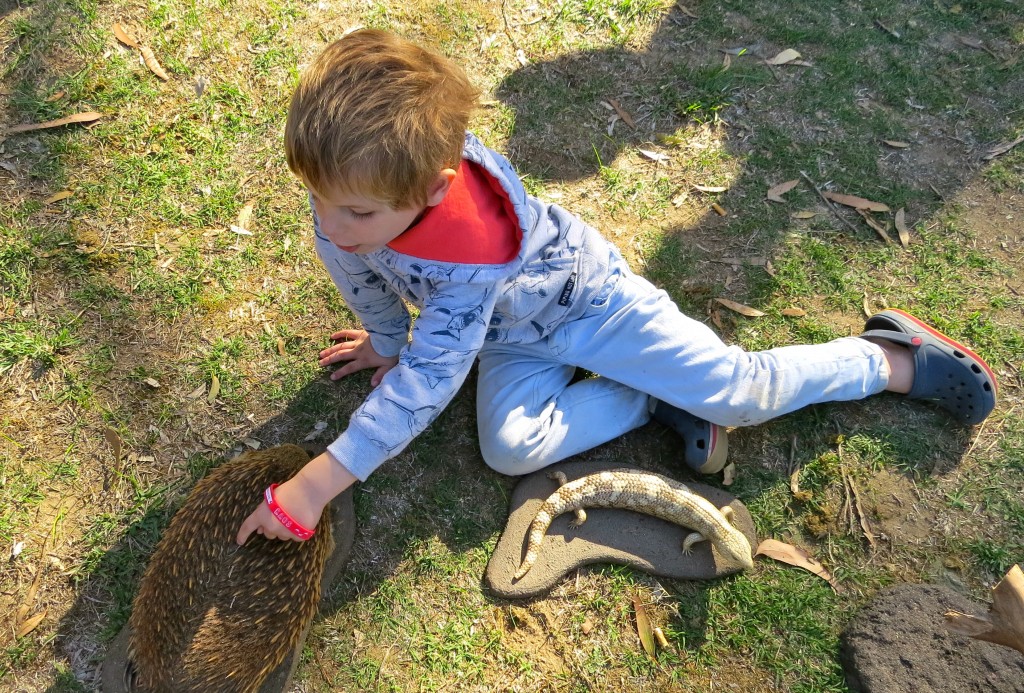 Learning about native animals at the ranger activity