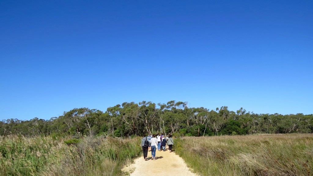 On a ranger guided walk in Anglesea
