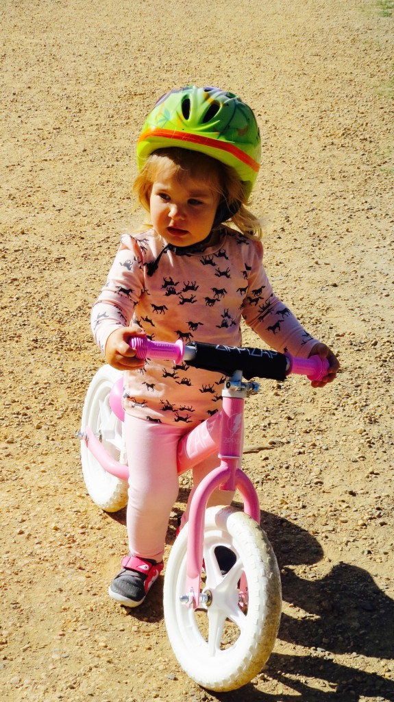Too cool for school on her new Zippizap balance bike