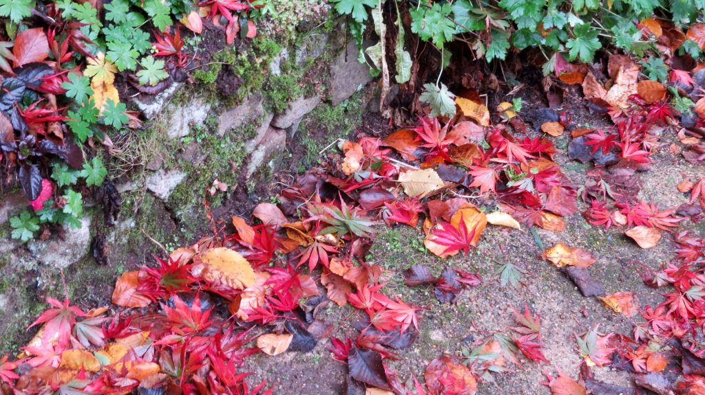 Cloudhill Garden in Olinda